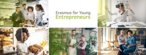 Erasmus for Young Entrepreneurs