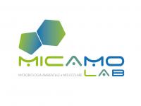 micamo